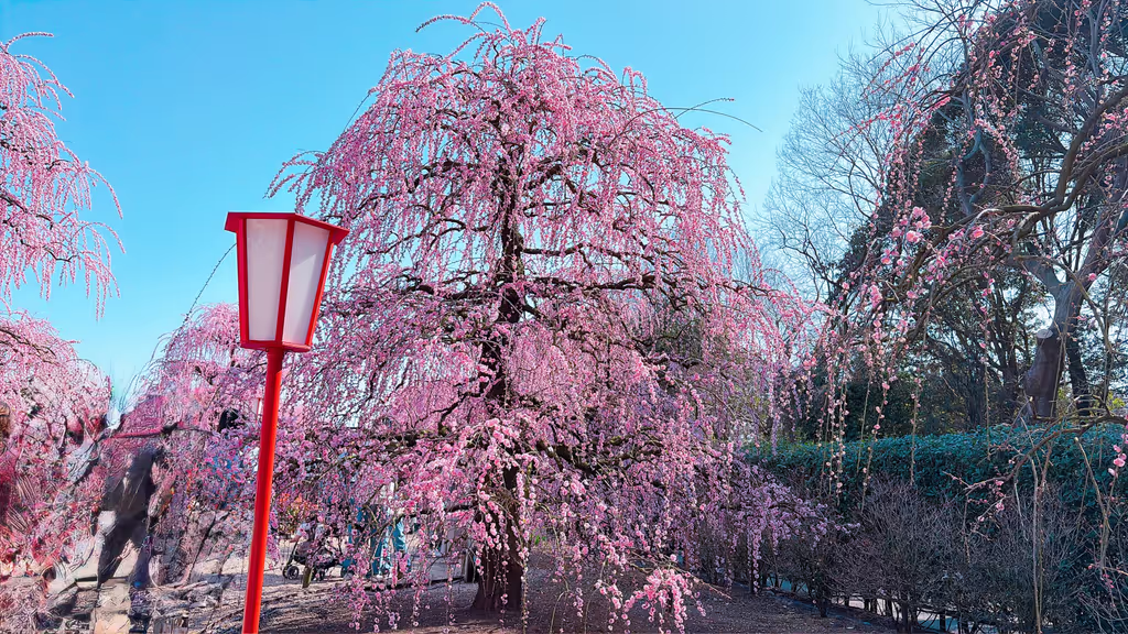 Nagoya Private Tour - 