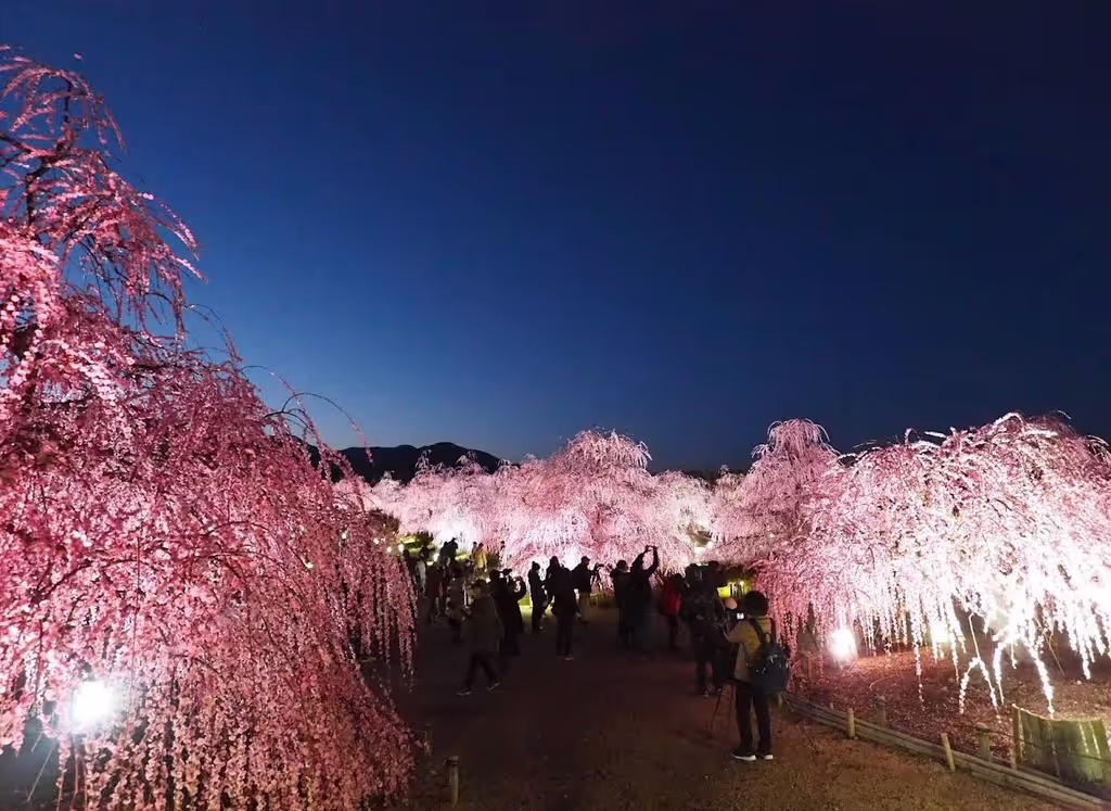 Nagoya Private Tour - 