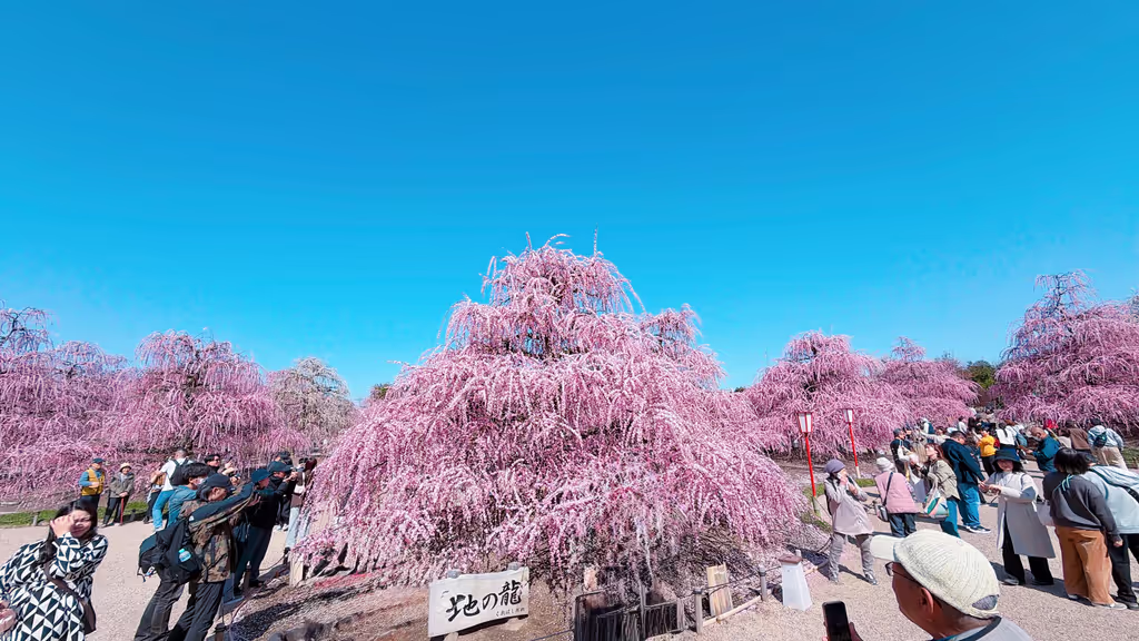 Nagoya Private Tour - 