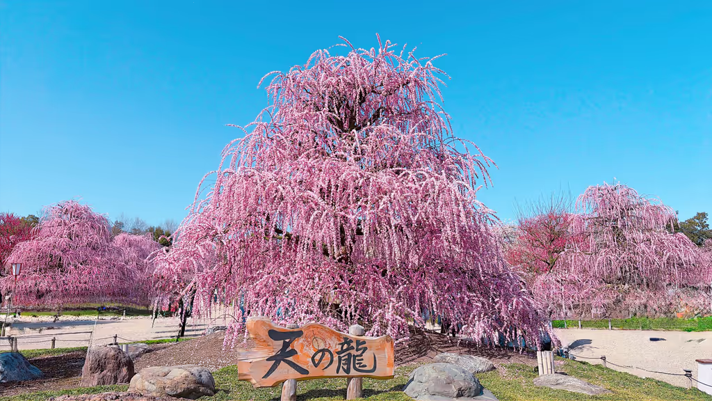 Nagoya Private Tour - 