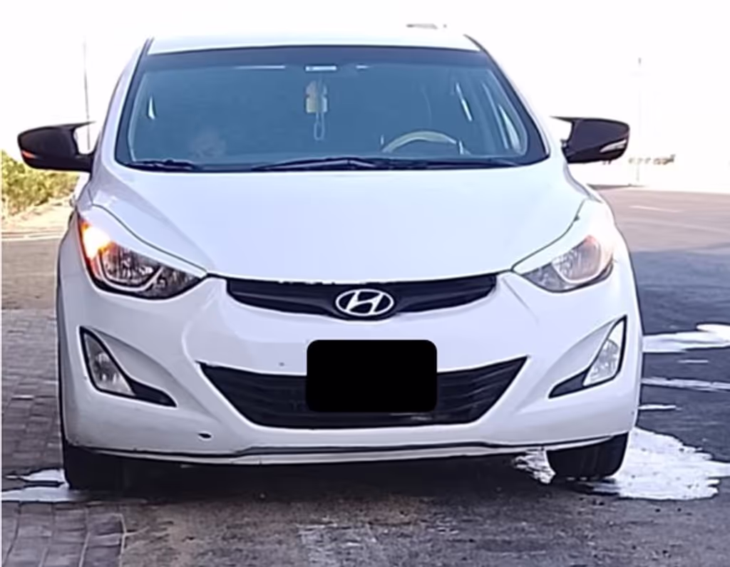 Minya Private Tour - 