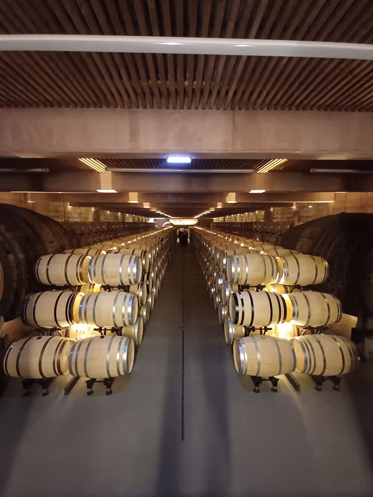 Porto Private Tour - 