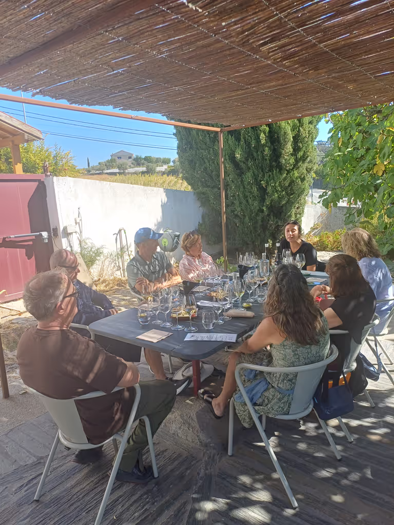 Porto Private Tour - 