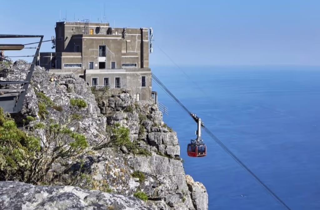 Cape Town Private Tour - 