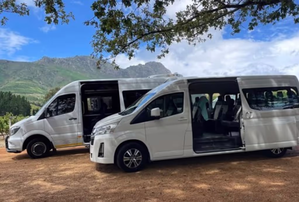 Cape Town Private Tour - 