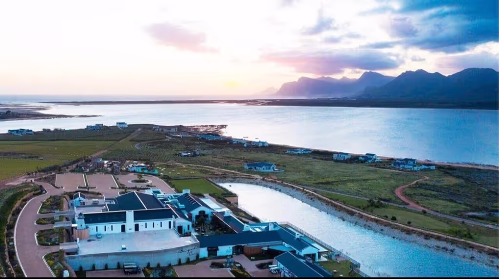 Cape Town Private Tour - 