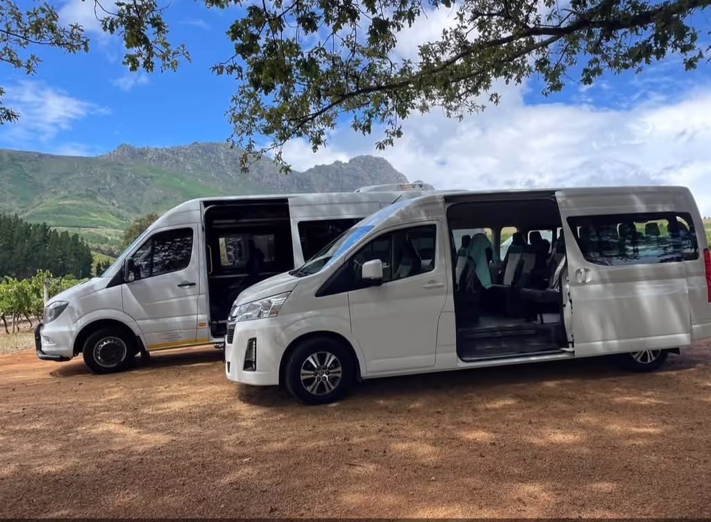 Cape Town Private Tour - 