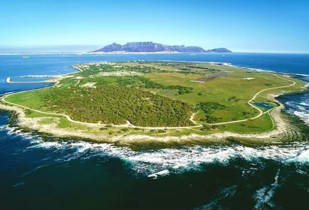 Cape Town Private Tour - 