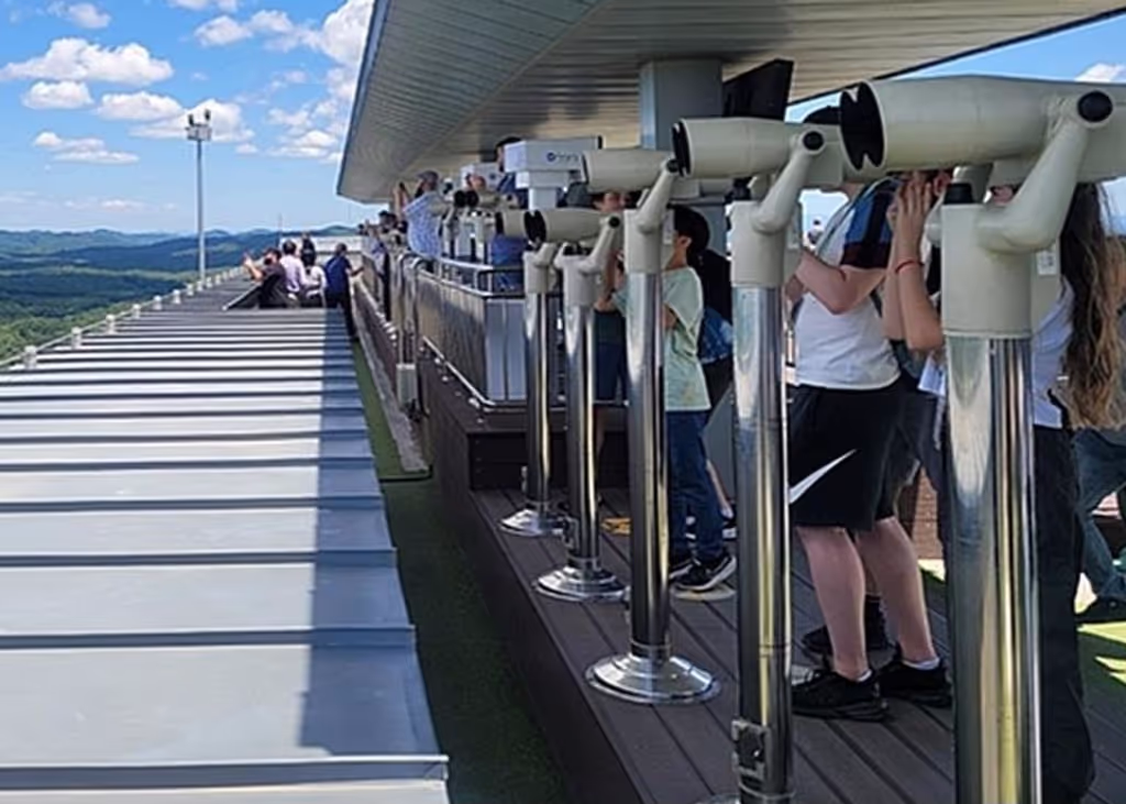 Seoul Private Tour - Dora observatory