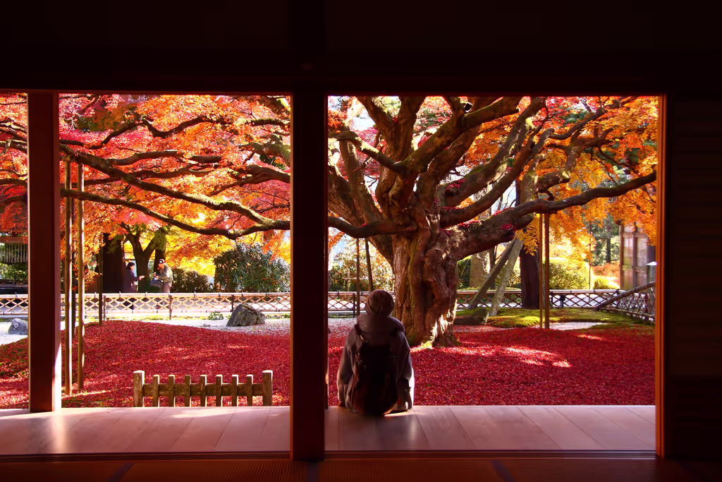 Fukuoka Private Tour - Sennyoji Temple