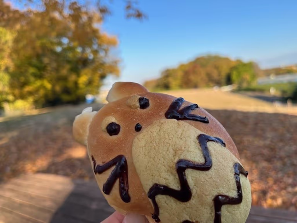 Saitama Private Tour - Hello from Hira Hill