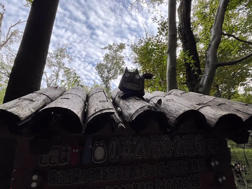 Saitama Private Tour - Totoro on the roof of the signboard