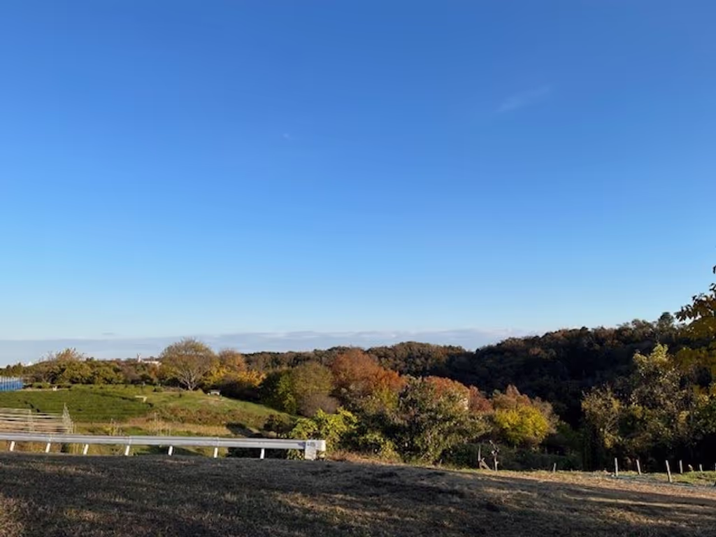 Saitama Private Tour - Totoro Forest area, Tokorozawa