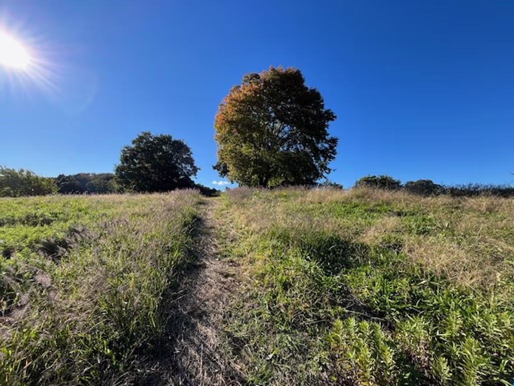 Saitama Private Tour - View, Sayama Hill