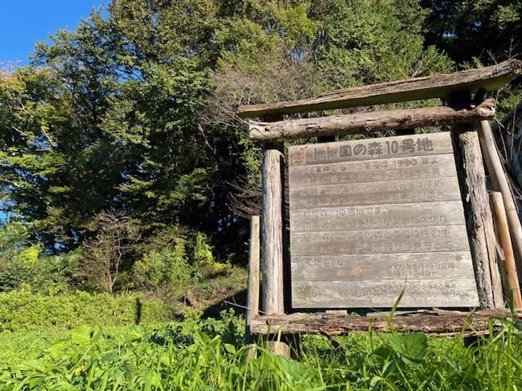 Saitama Private Tour - Signboard, Totoro Forest Nr.10