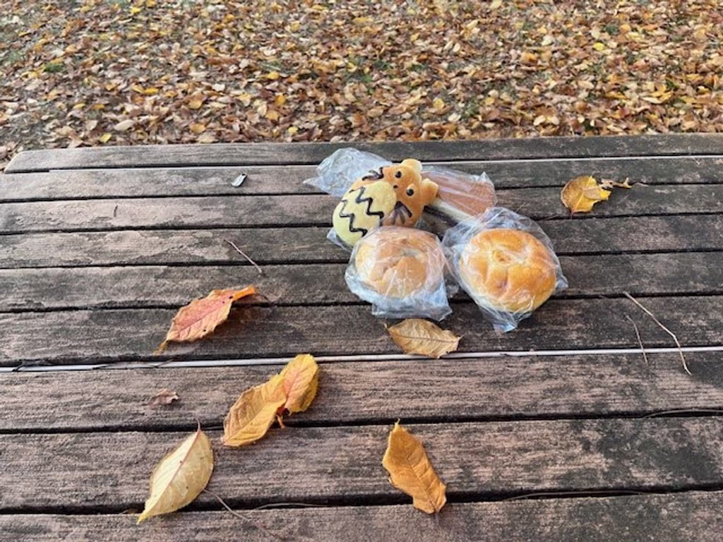 Saitama Private Tour - picnic under the tree
