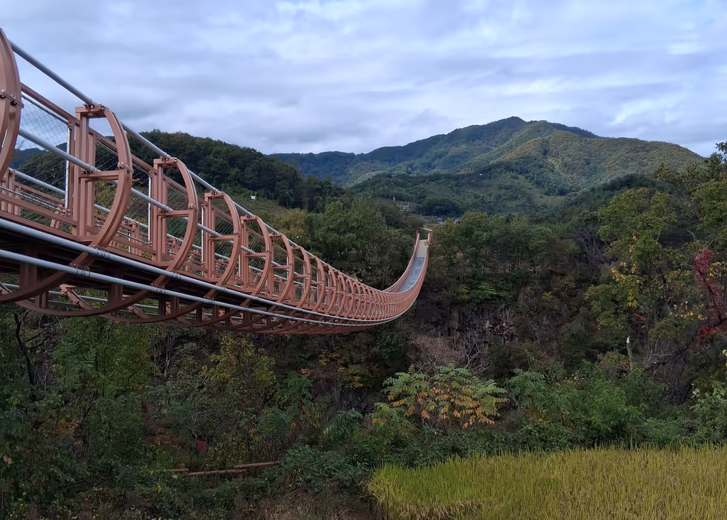 Seoul Private Tour - suspension bridge