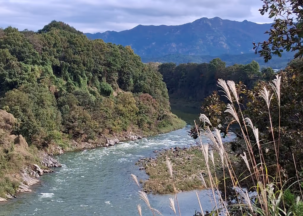 Seoul Private Tour - Hantan river