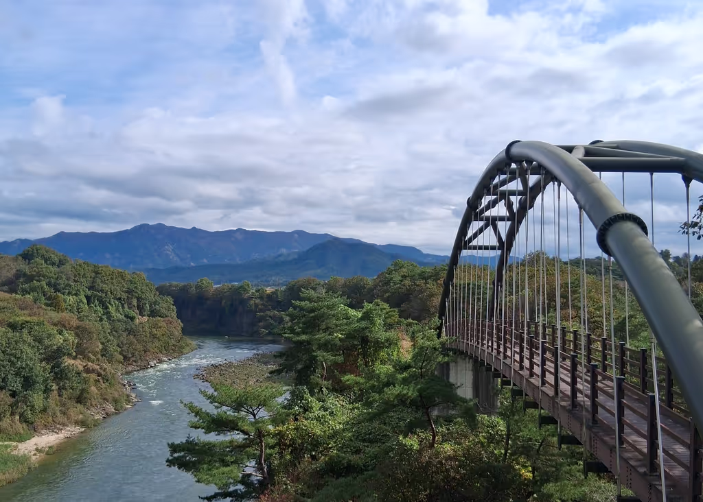 Seoul Private Tour - bridge and river