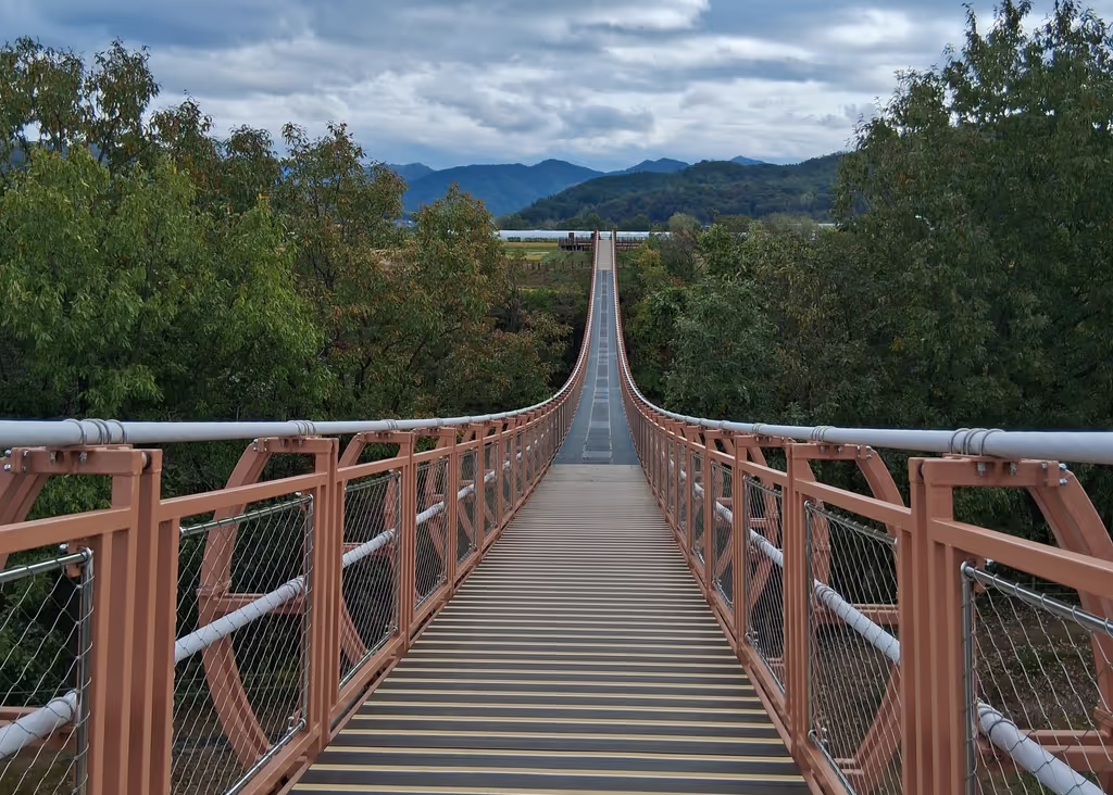 Seoul Private Tour - bridge