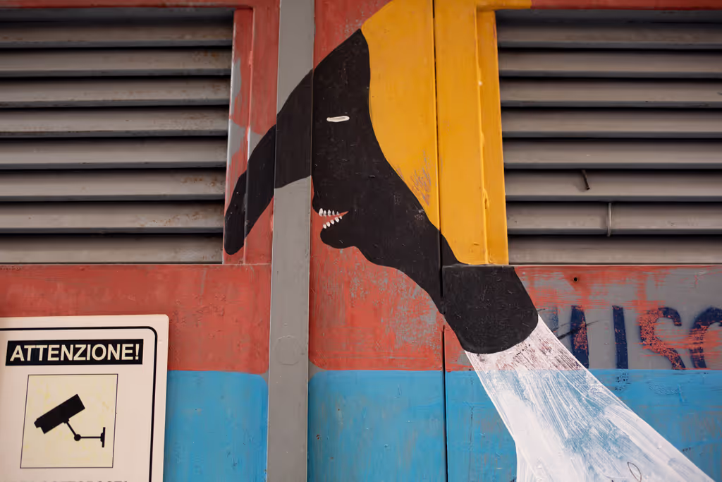 Naples Private Tour - Quore Spinato