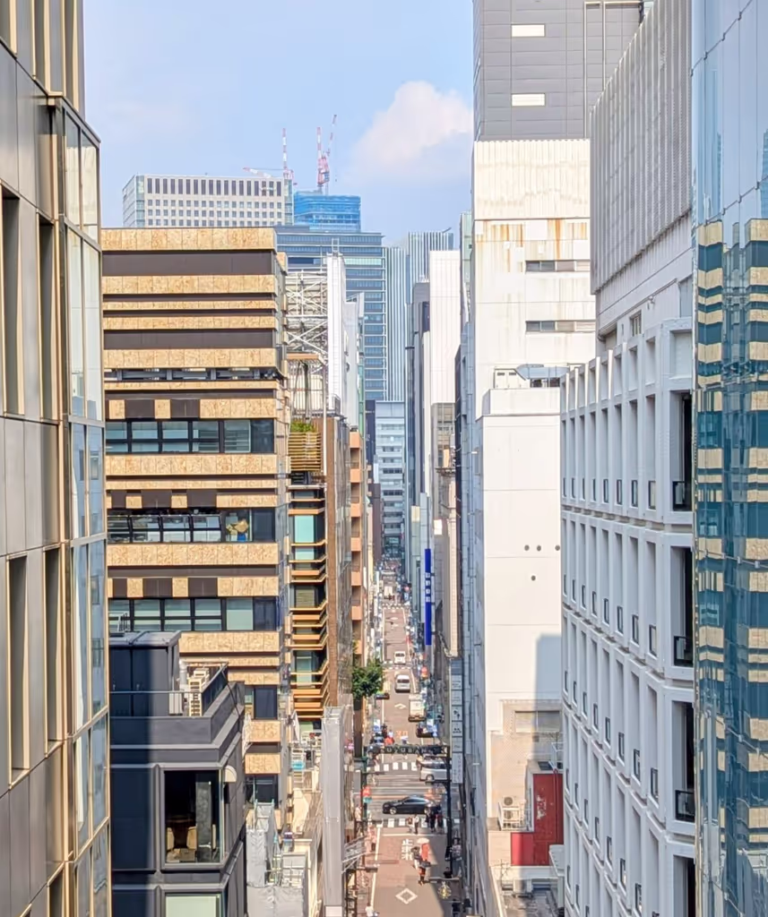 Tokyo Private Tour - Suzuran street in Ginza from above