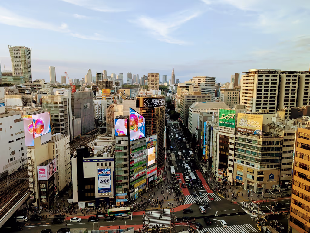 Tokyo Private Tour - Shibuya area from above