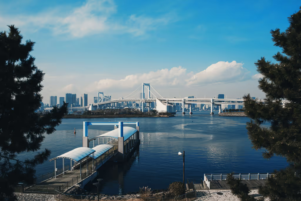 Tokyo Private Tour - Rainbow bridge, view from Odaiba