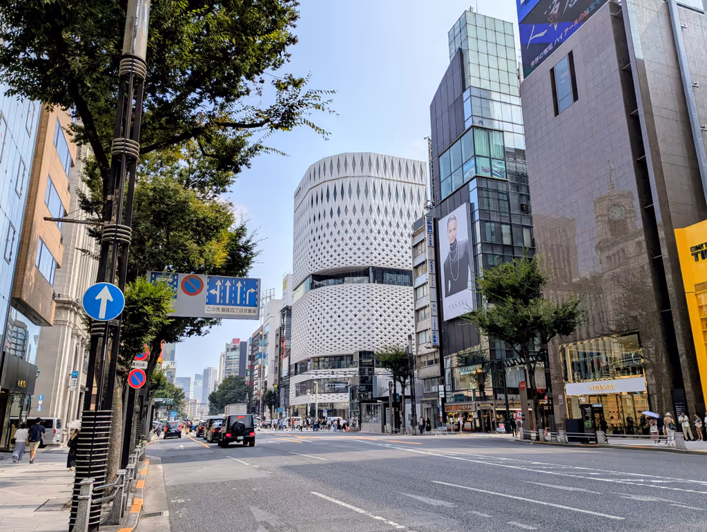 Tokyo Private Tour - Ginza