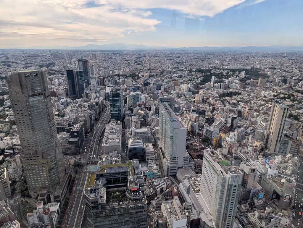 Tokyo Private Tour - Shibuya from