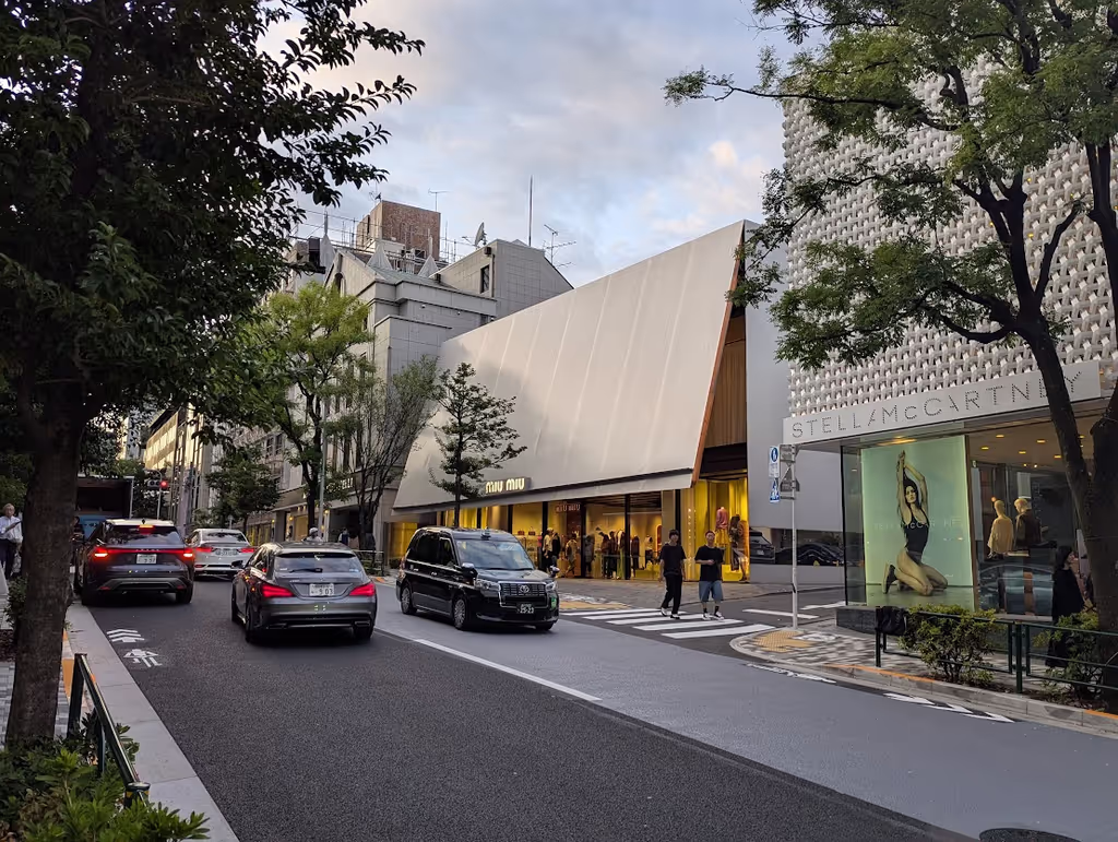 Tokyo Private Tour - 