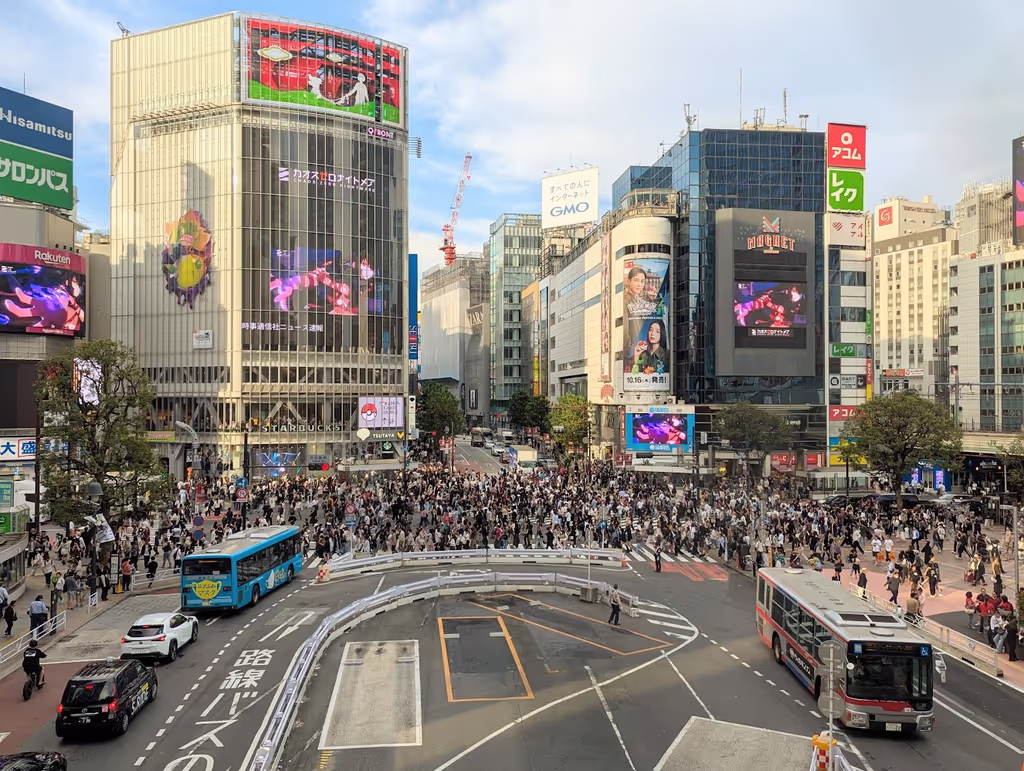 Tokyo Private Tour - Shibuya crossing