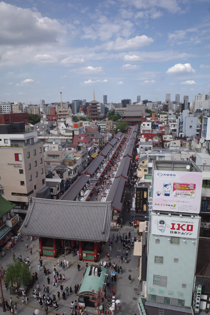 Tokyo Private Tour - Sensoji temple at Asakusa from above