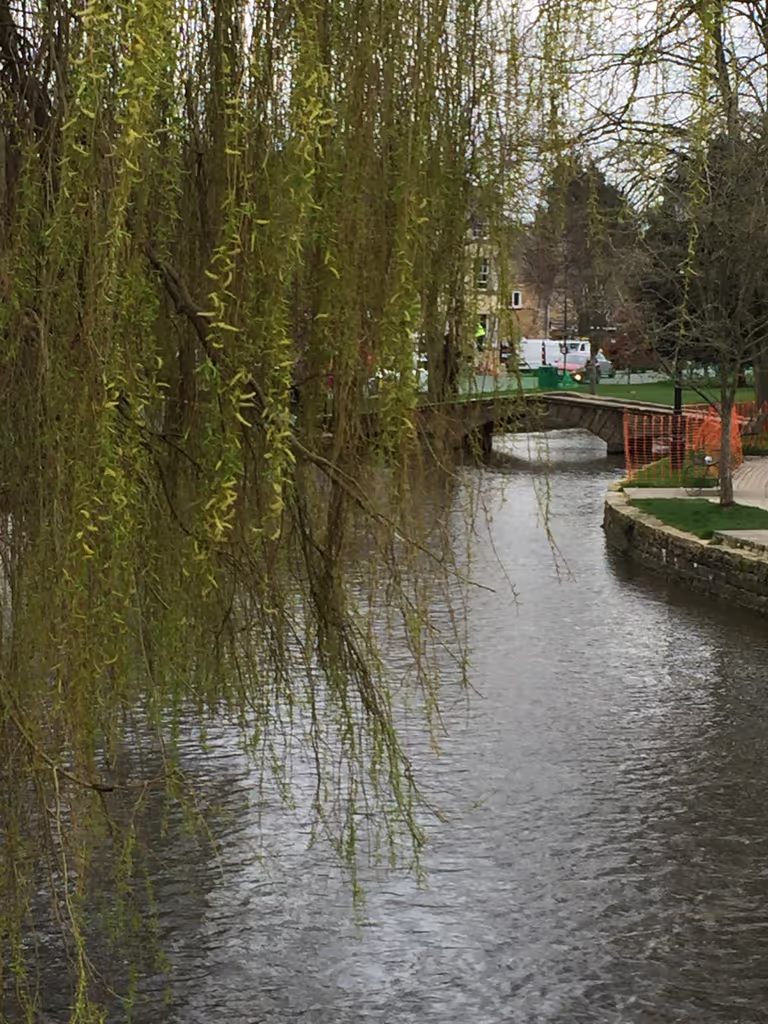 London Private Tour - 