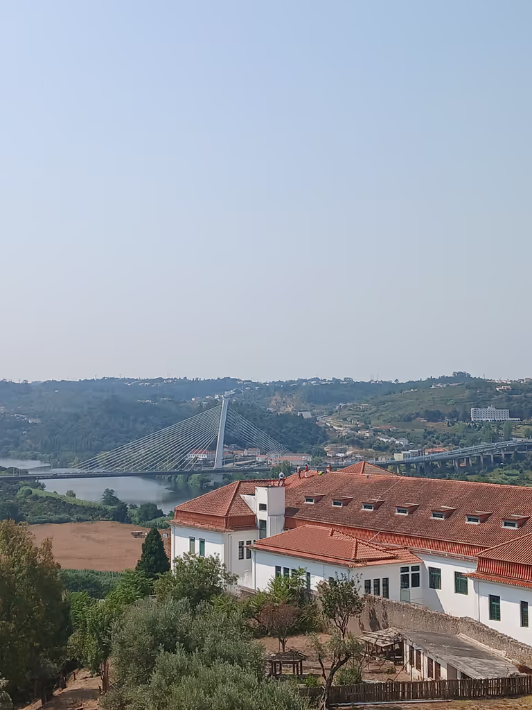 Coimbra Private Tour - Rainha Santa Isabel Bridge