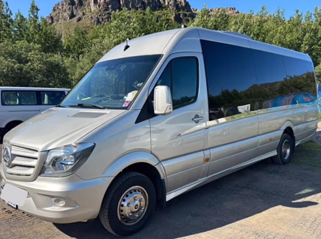 Reykjavik Private Tour - 