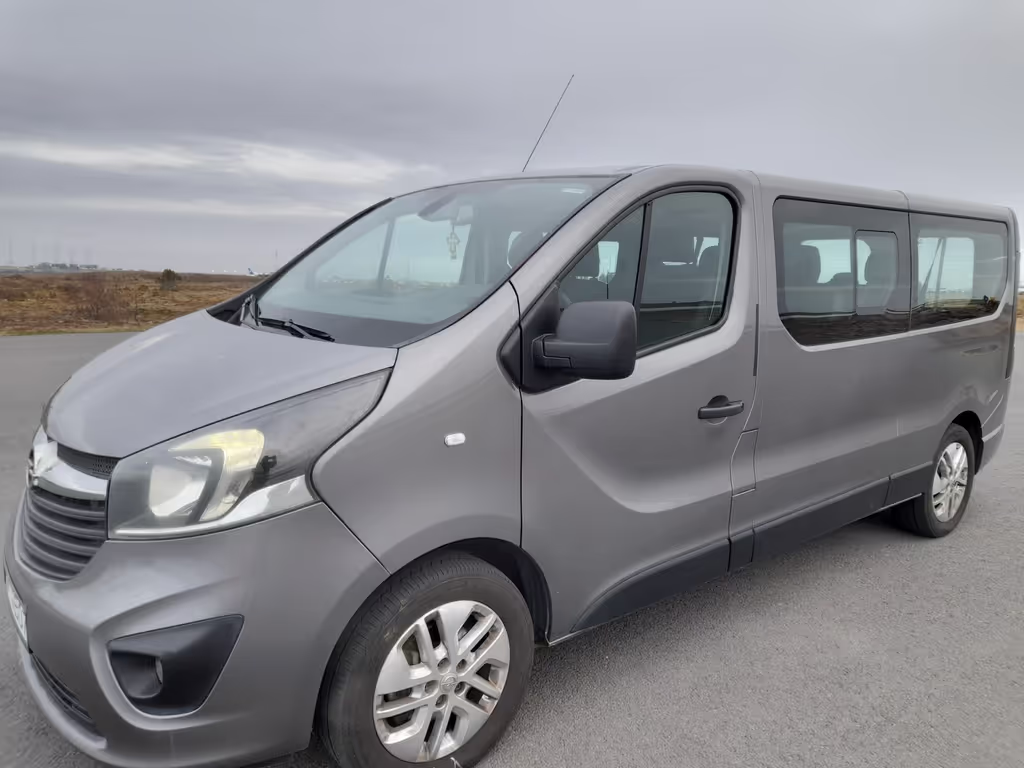 Reykjavik Private Tour - 