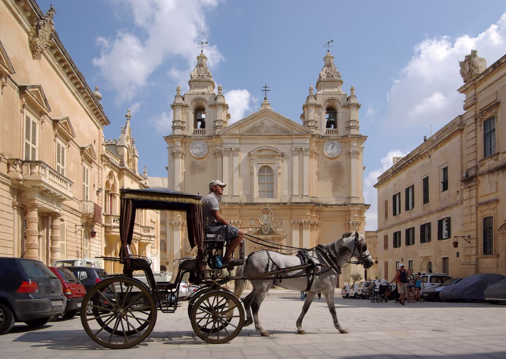 Malta Private Tour - 