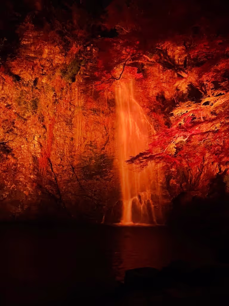 Osaka Private Tour - Light-up