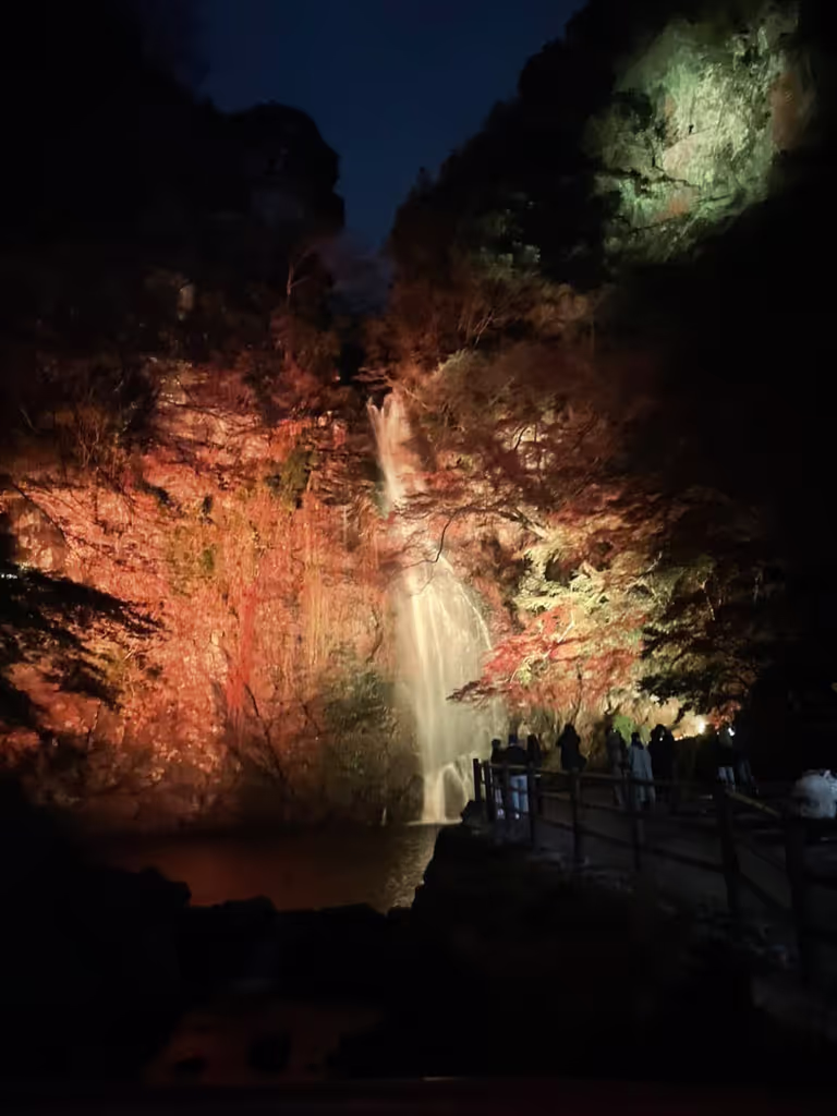 Osaka Private Tour - The color changes in a few minutes