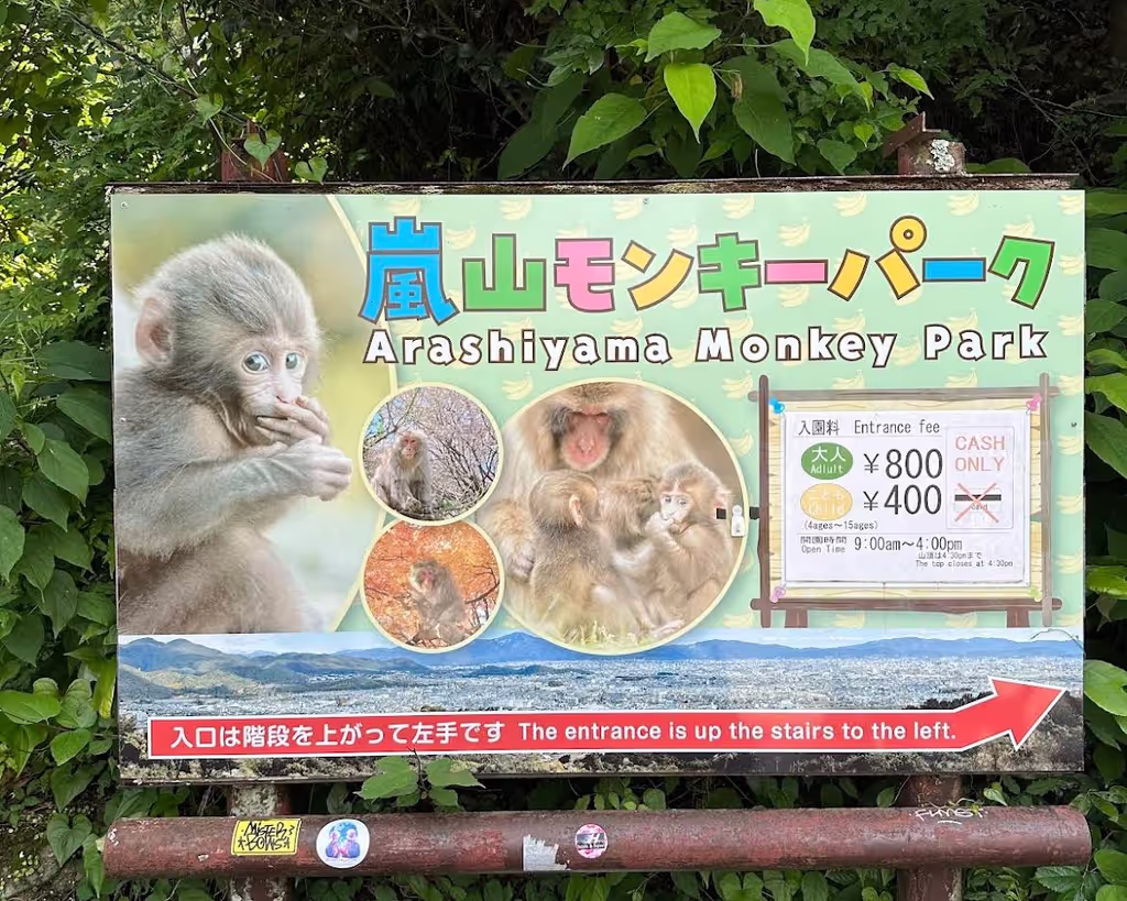 Kyoto Private Tour - 