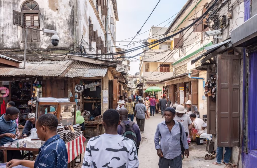 Zanzibar Private Tour - Zanzibar Streets