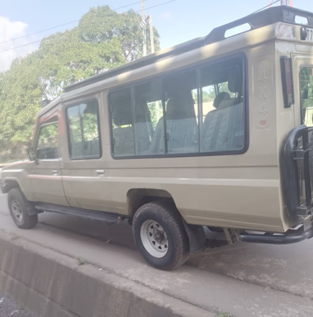 Kilimanjaro Private Tour - For safari