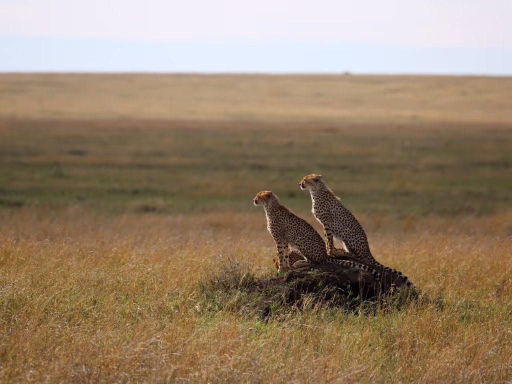 Arusha Private Tour - 