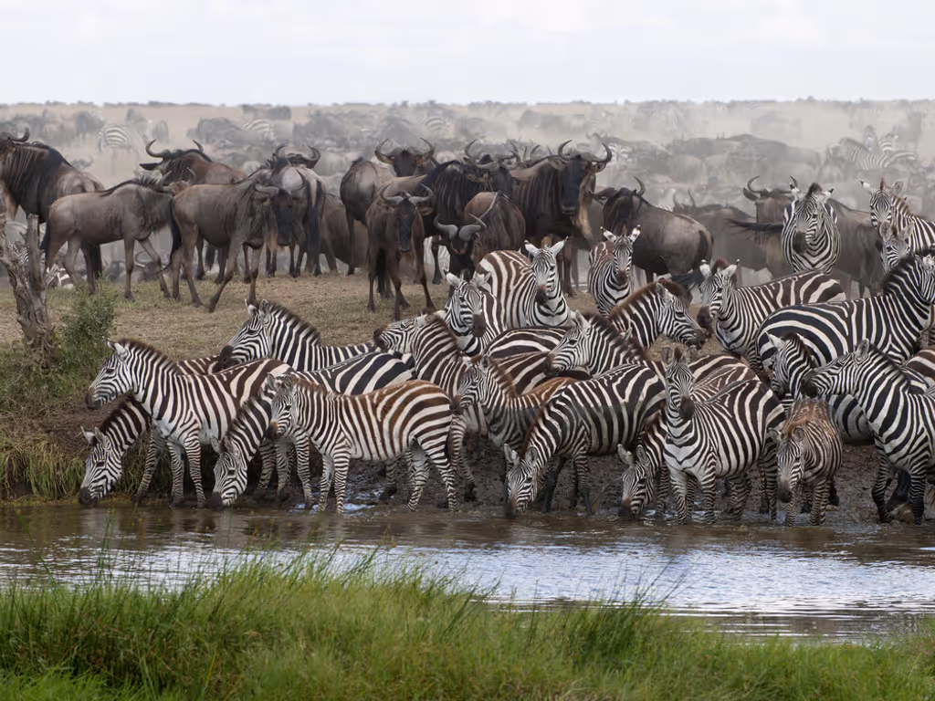 Arusha Private Tour - 