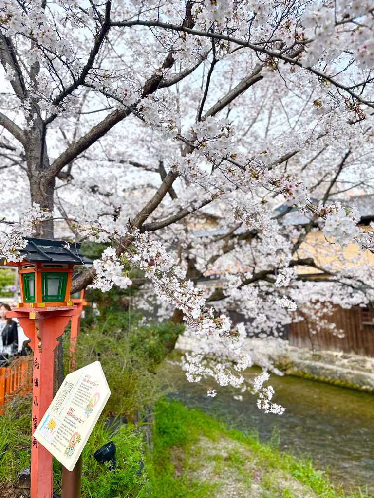 Kyoto Private Tour - Gion