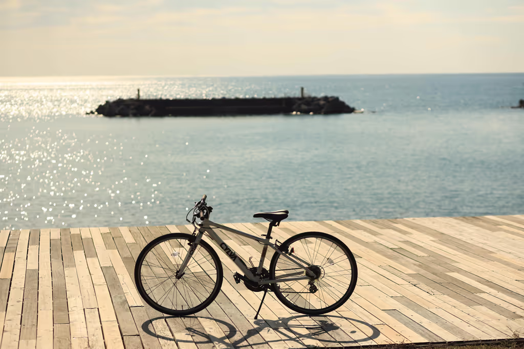 Kochi Private Tour - Pacific Ocean View