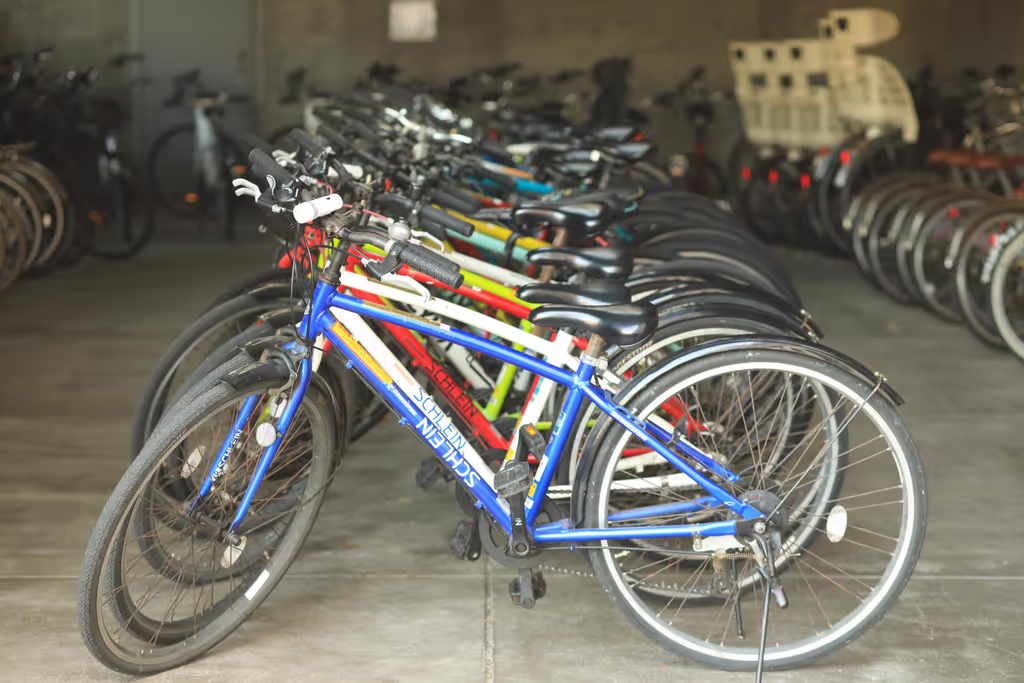 Kochi Private Tour - Cycling Terminal