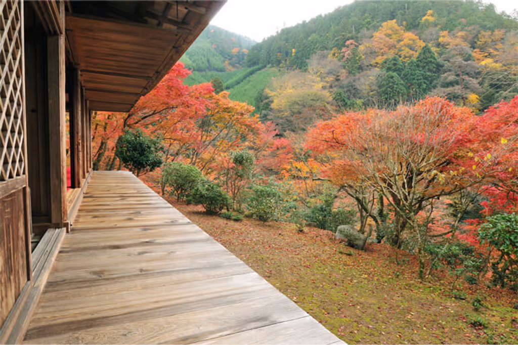 Kyoto Private Tour - Kōsanji Temple - beautiful scenery