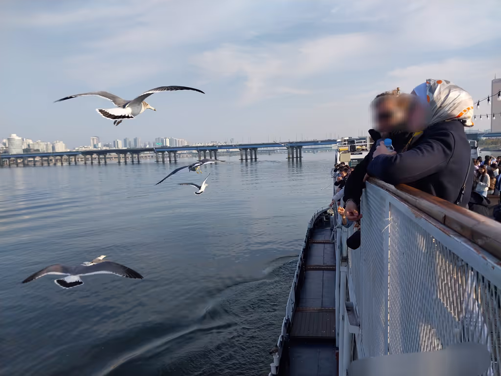 Seoul Private Tour - 